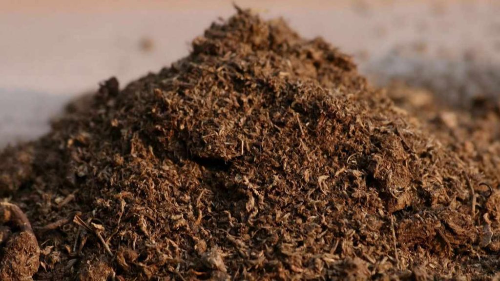 Кінський гній як добриво