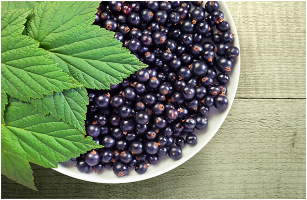 Чорна смородина користь