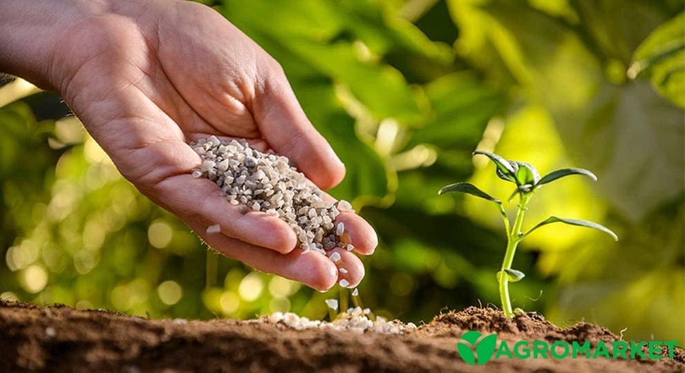 Азотні добрива для квітів