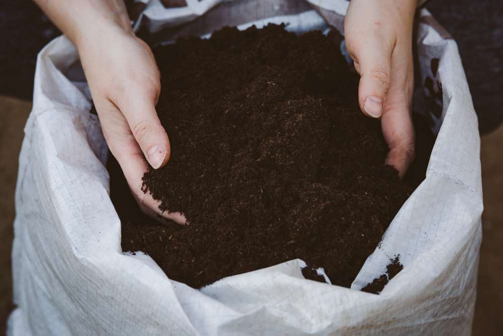 Біогумус це