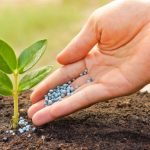 органічні добрива